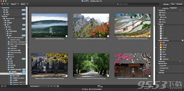 ACDSee Pro for mac