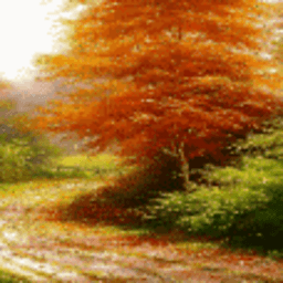 秋树动态壁纸(Autumn Tree) 