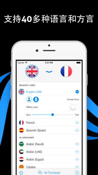 iTranslate Voice截图4