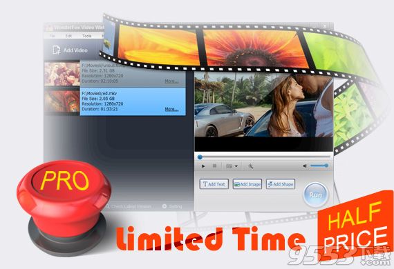 Video Watermark Pro