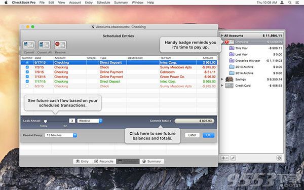 CheckBook Pro Mac版 