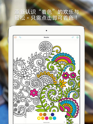 Recolor成年人的涂色书下载-Recolor下载iPad版v2.0-涂色游戏图1