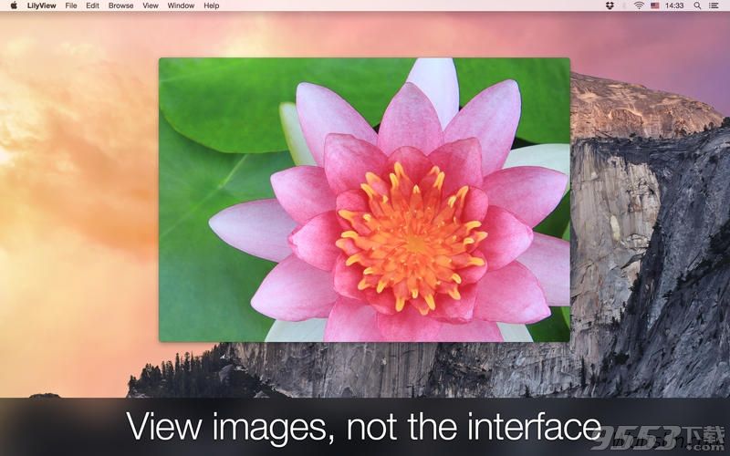 LilyView for Mac 