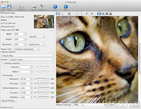 BenVista PhotoZoom Pro mac(图片无损放大软件)