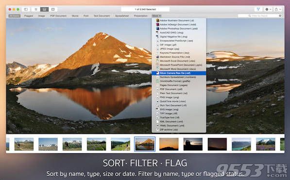 Fileloupe for mac(文件浏览软件)
