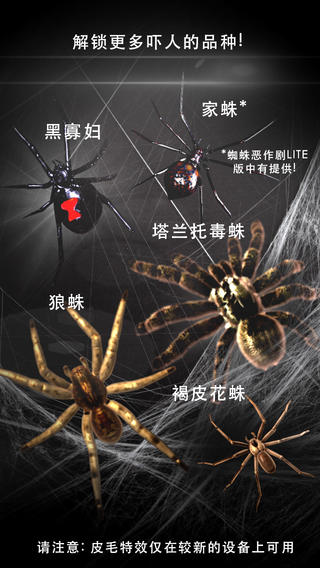 蜘蛛恶作剧简版安卓版截图4