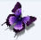 蝴蝶浏览器 V1.4.7 官方正式版