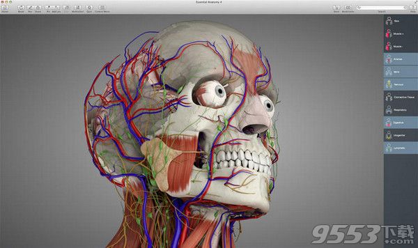 Essential Anatomy 5 Mac版