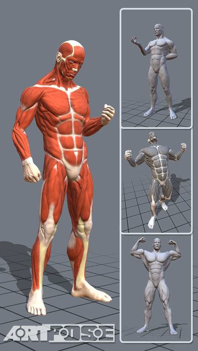 ArtPose3D人体模型下载-ArtPoseios版下载v1.6图4