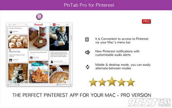 Pinterest助手专业版Mac版