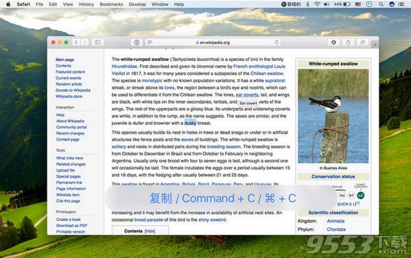 快译多语言智能字典Mac中文免费版