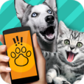 小动物语言翻译器app2017安卓版