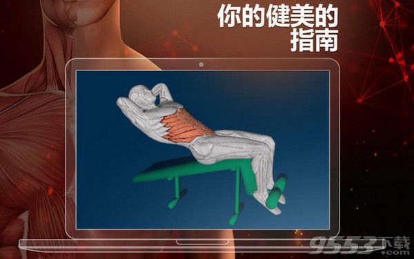 人体解剖学3D Mac中文版