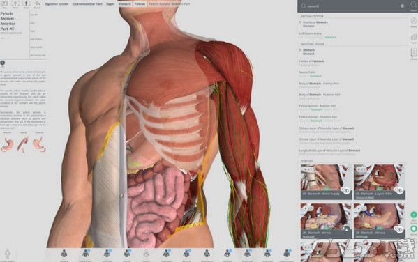 Complete Anatomy 2018 Mac版