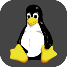 Linux命令运行app安卓版