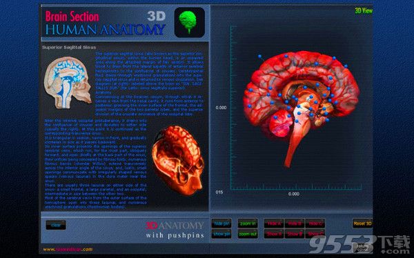 Brain Section 3D Mac版
