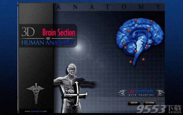 Brain Section 3D Mac版