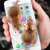 手机养老鼠软件2018最新版