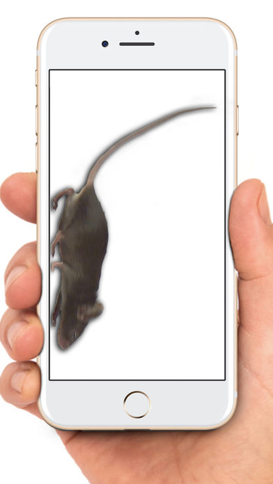 手机养老鼠APK官方版免费版下载-手机养老鼠软件2018最新版下载图3