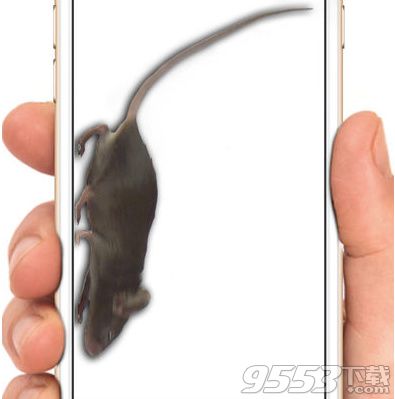 手机养老鼠是什么app软件 养在手机屏幕上的老鼠软件下载地址分享