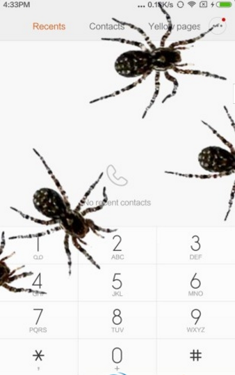 手机屏幕养蜘蛛软件截图3