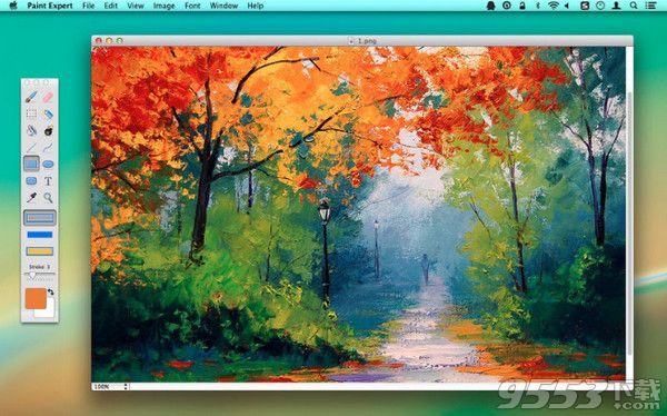 Paint Expert 2 Mac破解版