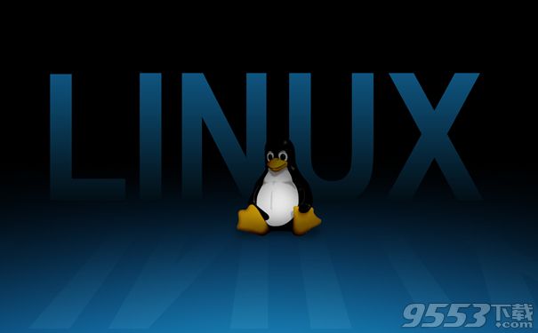 Linux Kernel