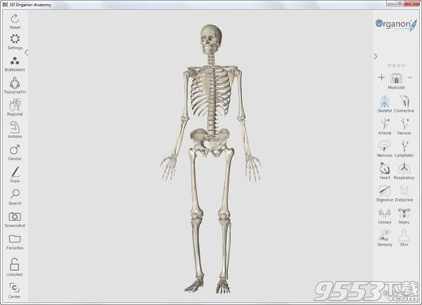 3d人体解剖软件3dbody6.0简体中文正式版