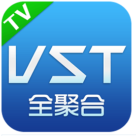 VST全聚合4.1.1清爽版