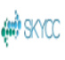 skycc网址存活与收录批量查询工具 v1.0 绿色版