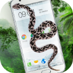 苹果手机显示蛇