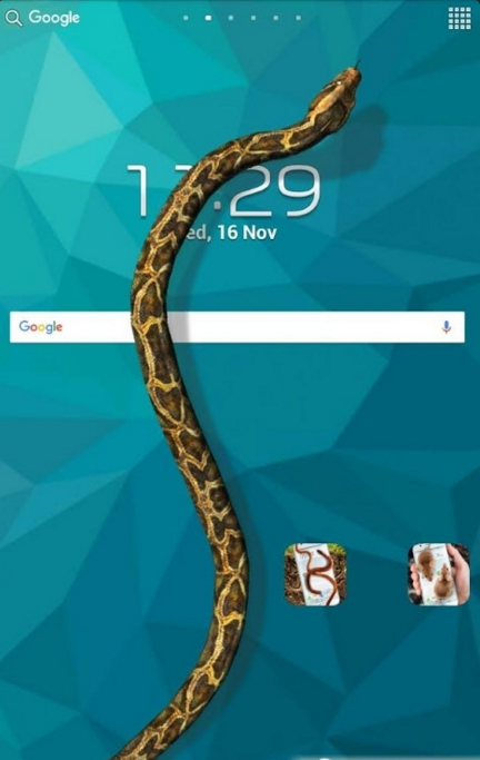 显示蛇苹果版下载-苹果手机显示蛇下载v1.0图4