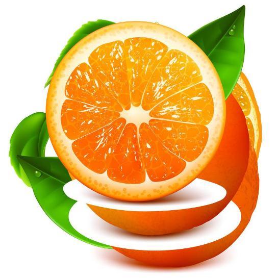 橙子视频app最新版
