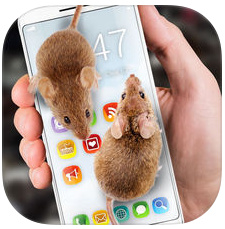 鼠标在屏幕上可怕的笑话苹果官方版