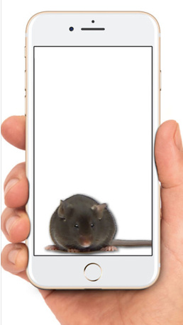 手机屏幕恶作剧软件最新版下载-鼠标在屏幕上可怕的笑话苹果官方版下载v1.0图1