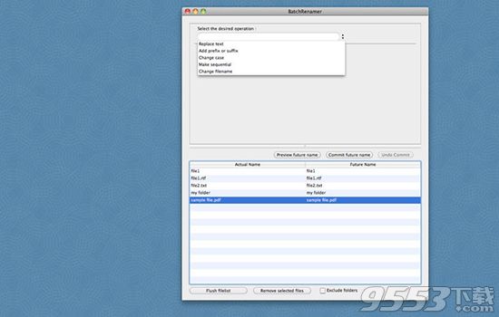 Batch Renamer Mac版