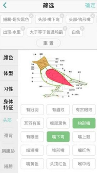 鸟类识别app安卓版截图3