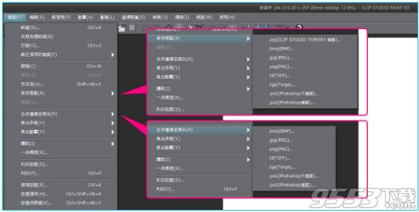 Clip Studio Paint EX破解版