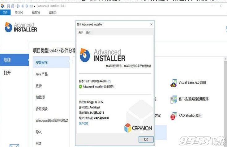 advanced installer 11.0