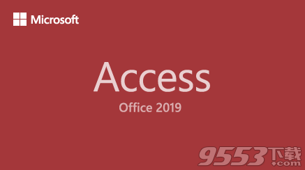 Microsoft Office Access2019中文版