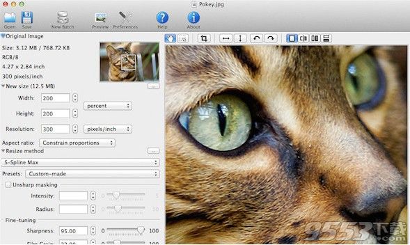 PhotoZoom Pro for Mac7.0.8中文版