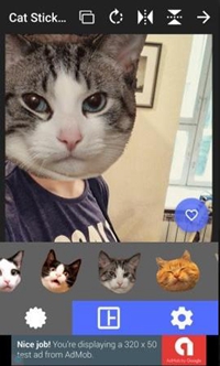 猫头贴纸app下载-猫头贴纸软件下载v1.0图4