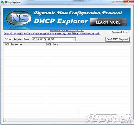 NsasoftDhcpExplorer