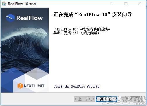 realflow10