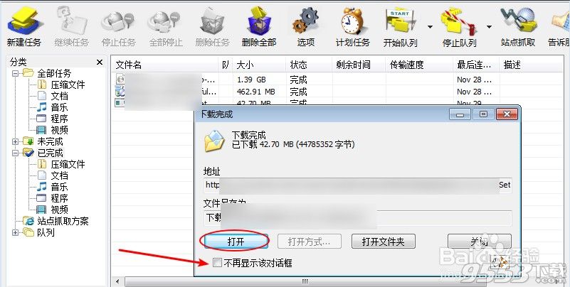 Internet Download Manager