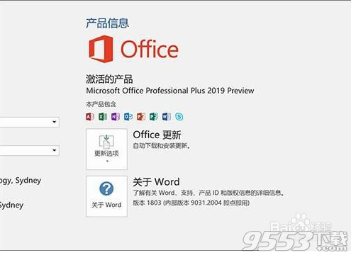 Microsoft Office 2019家庭企业版