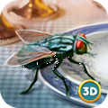 昆虫飞行模拟器3D安卓版