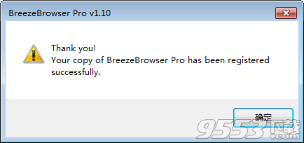 BreezeBrowser Pro中文版