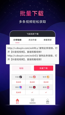 飞狐视频下载器app-飞狐视频下载器最新版下载v1.3.0图2