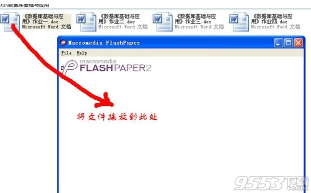flashpaper免费版